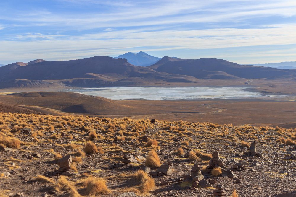Desierto de Atacama y Altiplano