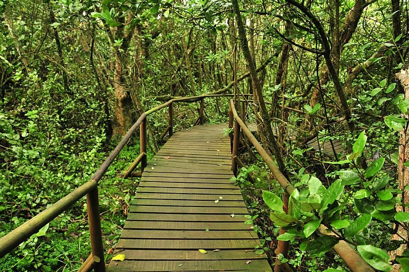 Parque Nacional Fray Jorge